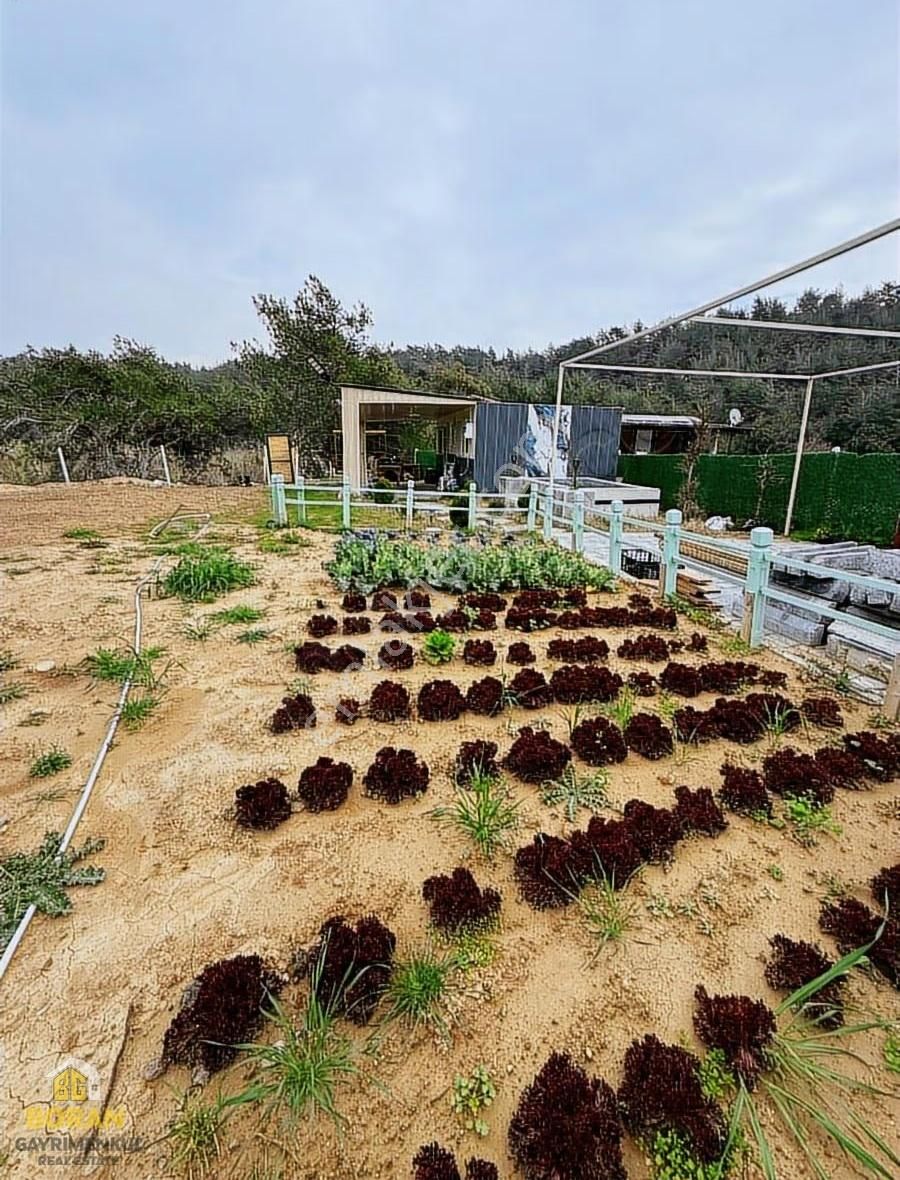 Boran Gayrimenkul'den Salbaş Pirilide Bahçe İçinde Satılık Ev - Görsel 12