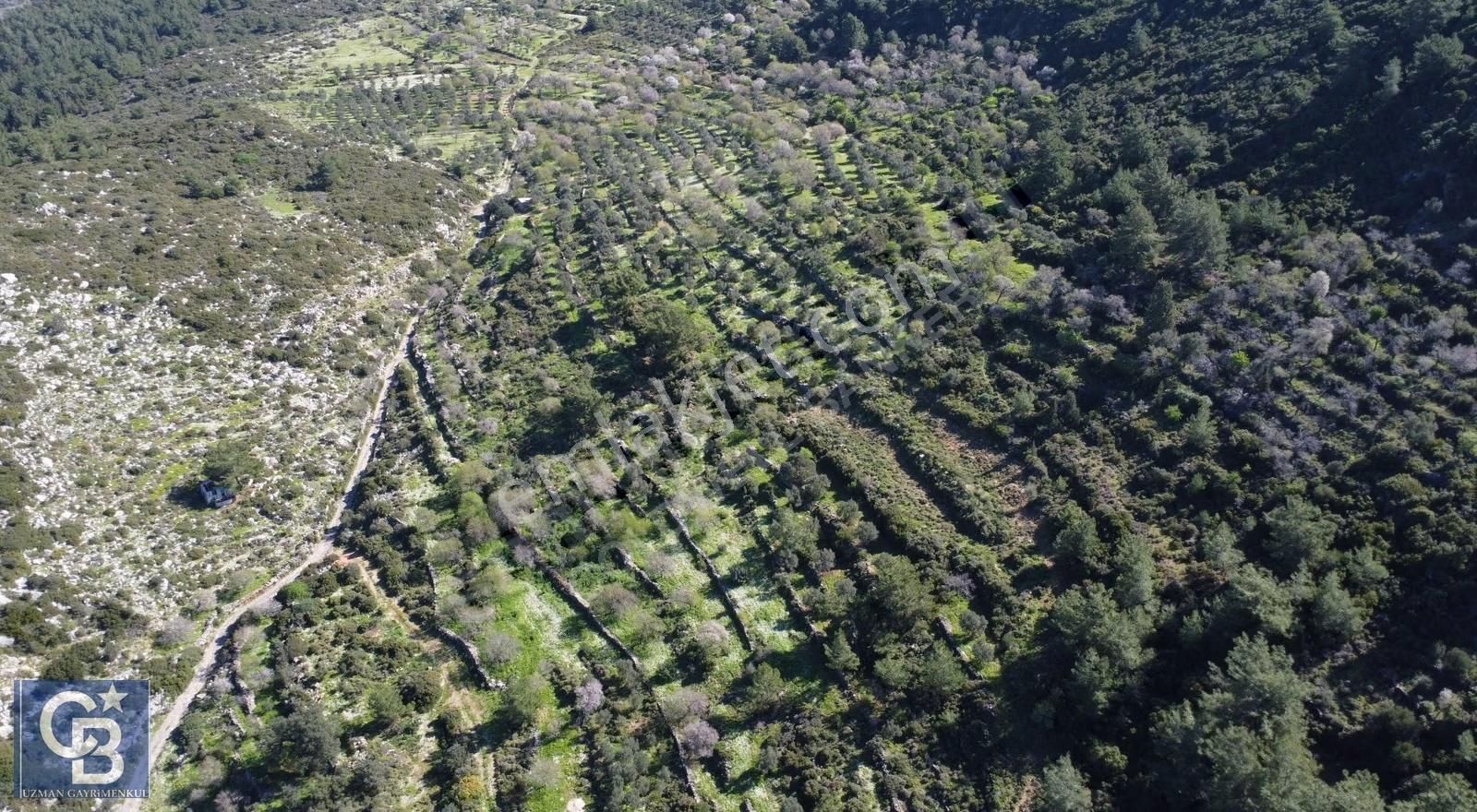 Marmaris Söğüt Kaygıseki Mahallesinde 1.500 M2 Satılık Tarla - Görsel 5