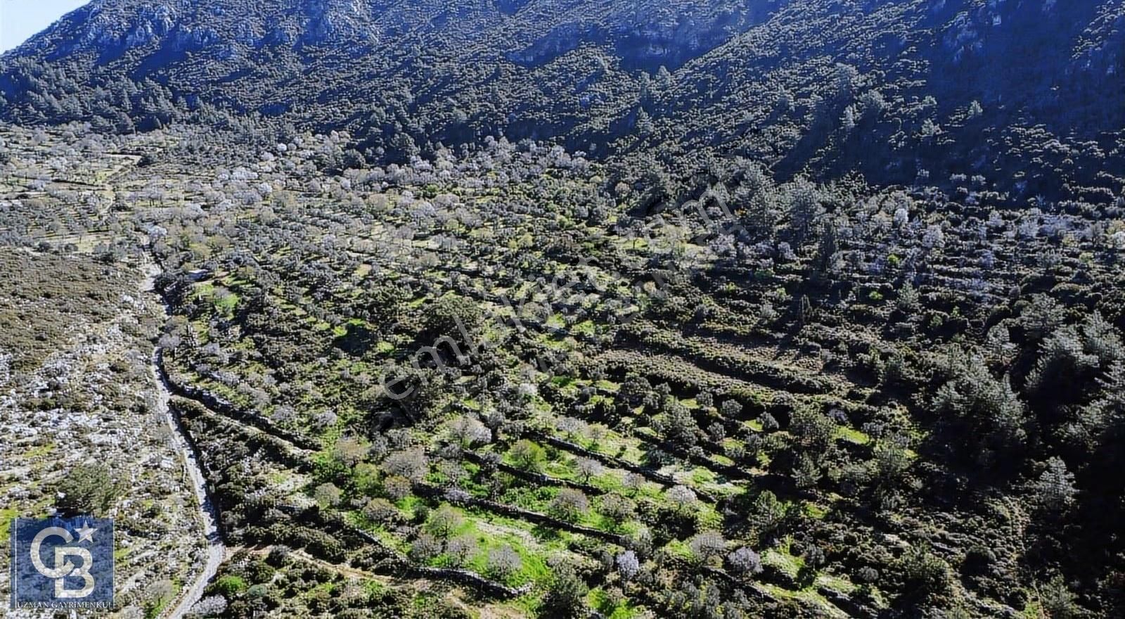 Marmaris Söğüt Kaygıseki Mahallesinde 1.500 M2 Satılık Tarla - Görsel 11