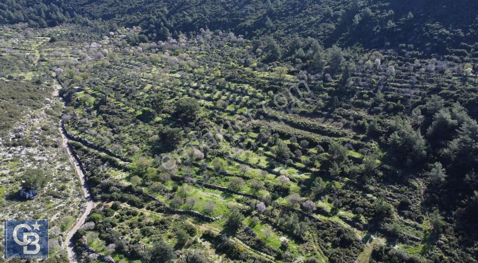 Marmaris Söğüt Kaygıseki Mahallesinde 1.500 M2 Satılık Tarla - Görsel 10