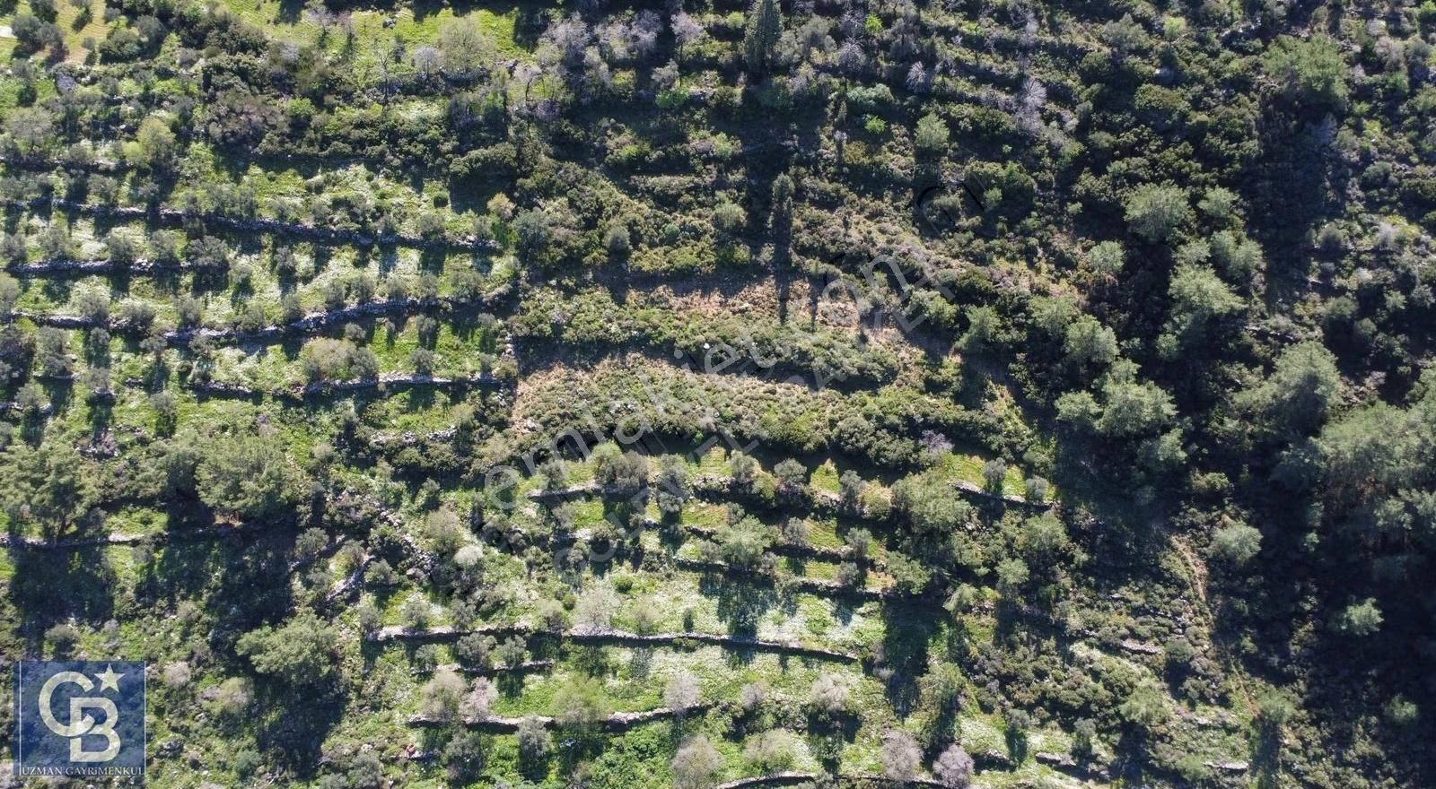 Marmaris Söğüt Kaygıseki Mahallesinde 1.500 M2 Satılık Tarla - Görsel 12