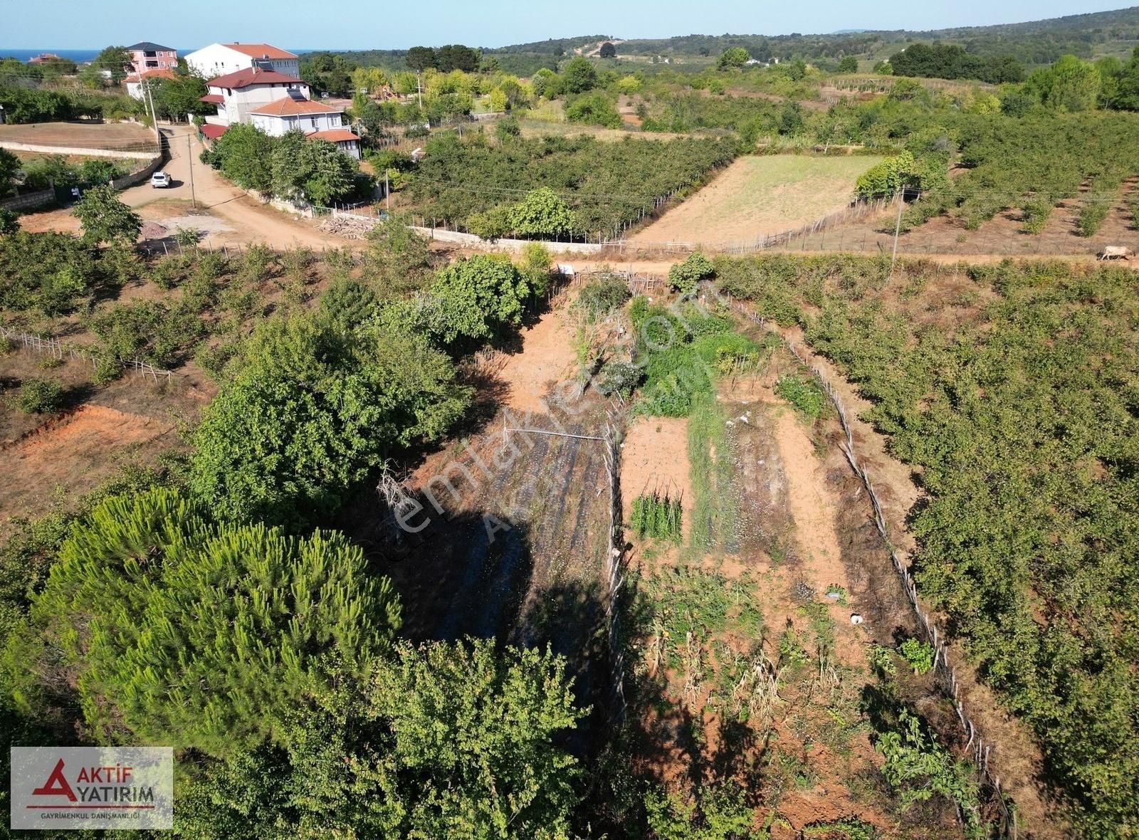 Bağırganlı'da Köyün Hemen Bitişiğinde 647 M2 Yola Cepheli Tarla - Görsel 14