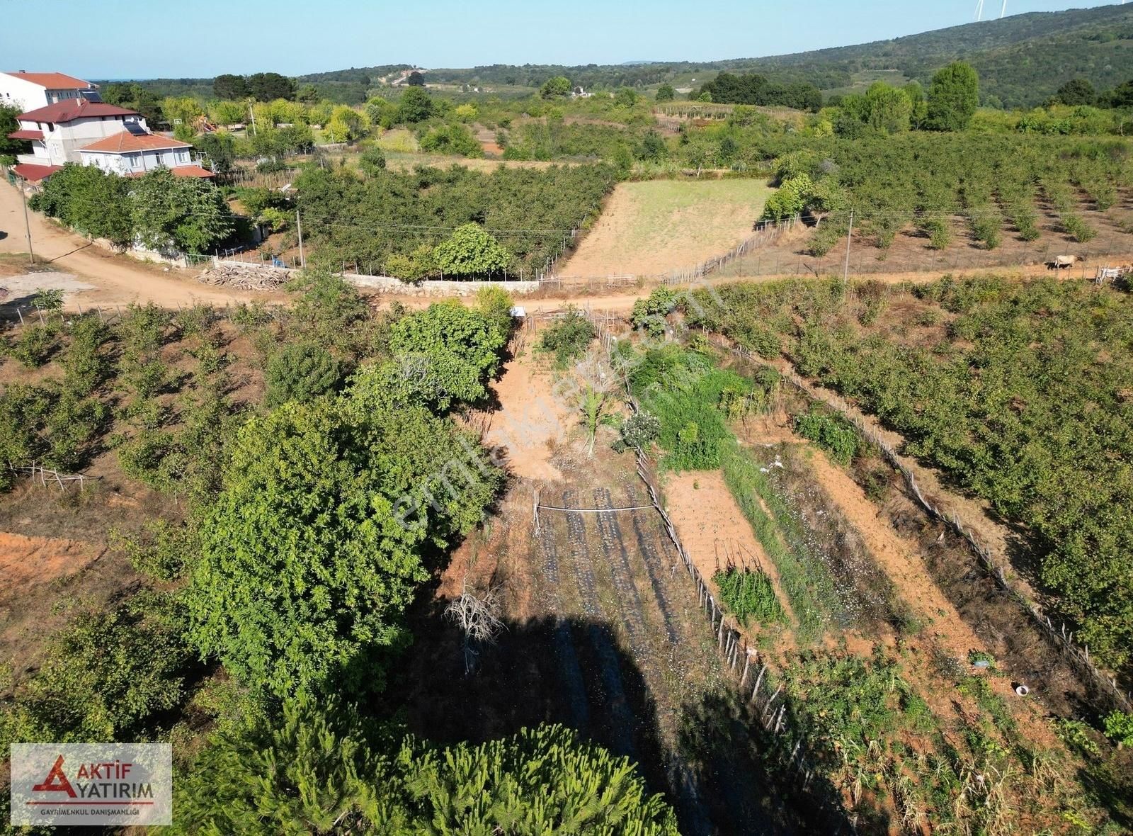 Bağırganlı'da Köyün Hemen Bitişiğinde 647 M2 Yola Cepheli Tarla - Görsel 11