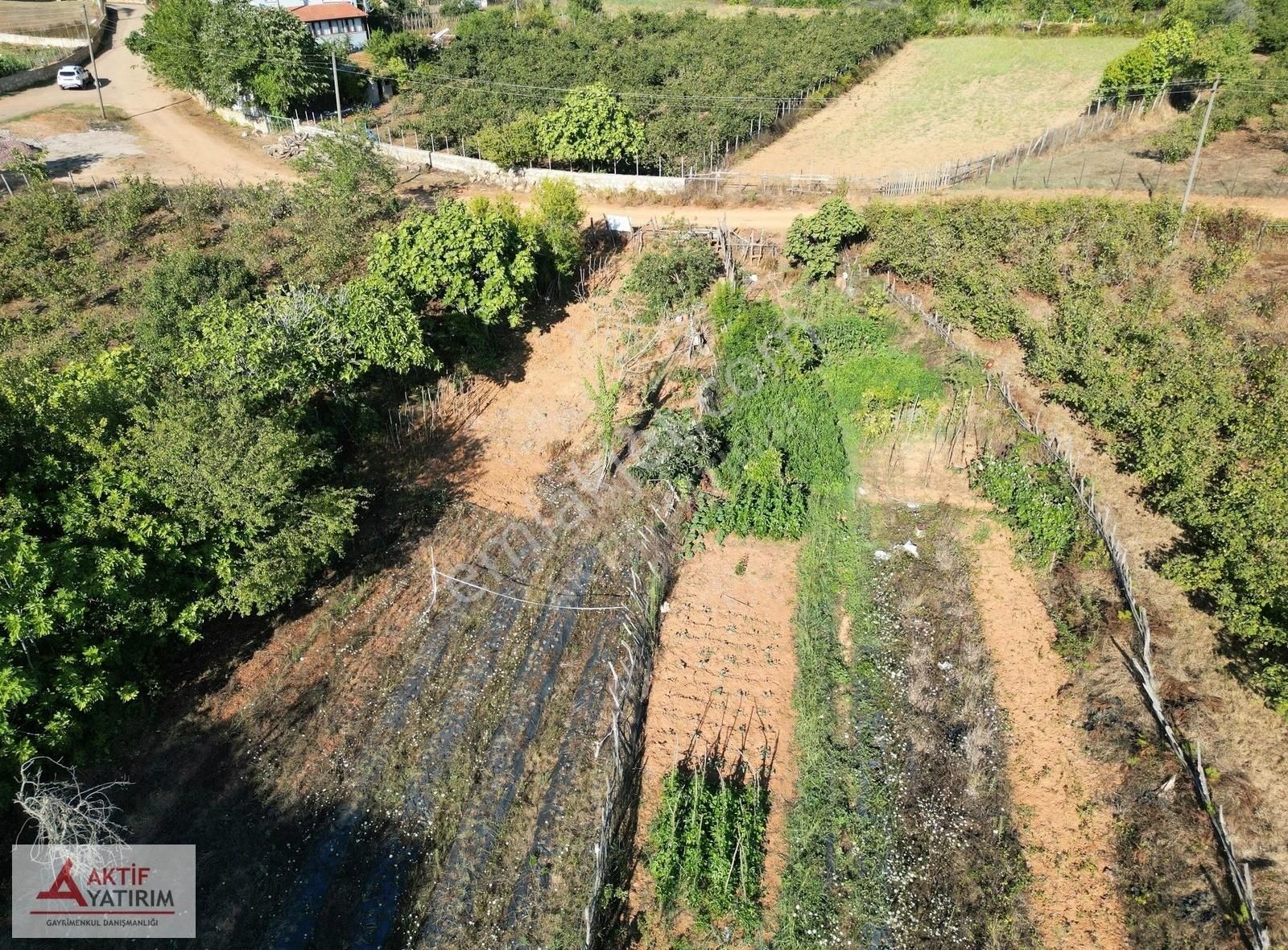 Bağırganlı'da Köyün Hemen Bitişiğinde 647 M2 Yola Cepheli Tarla - Görsel 25