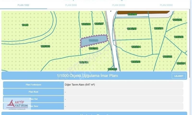 Bağırganlı'da Köyün Hemen Bitişiğinde 647 M2 Yola Cepheli Tarla - Görsel 5