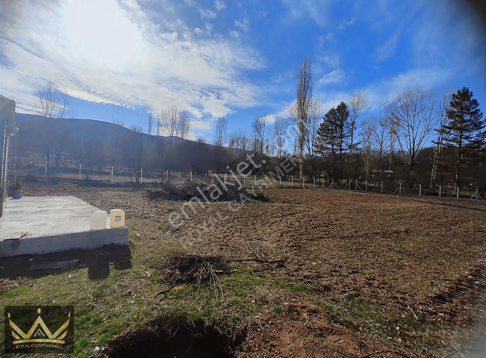 Royal Den Demirci Örende 1829m2 Hobi Bahçesi Satılıktır - Görsel 6