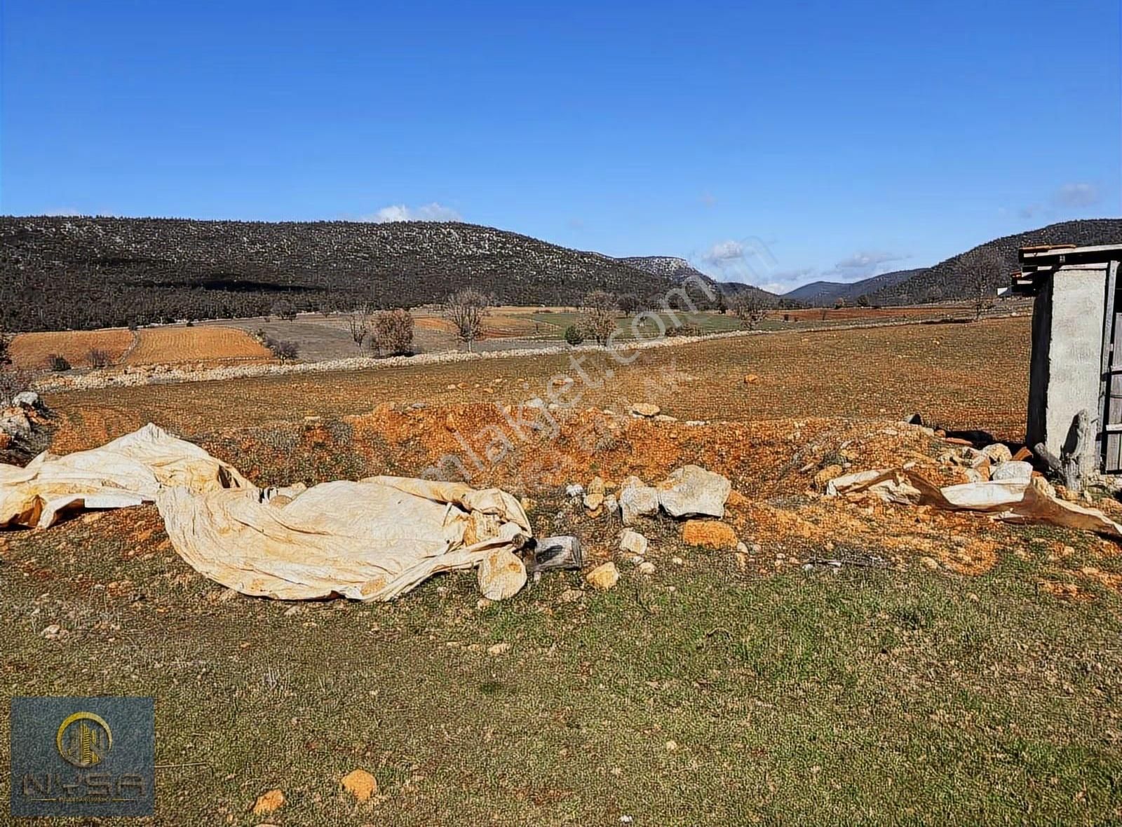 Nysa Emlak'tan Satılık 38 Dönüm Tarım Arazisi - Görsel 9