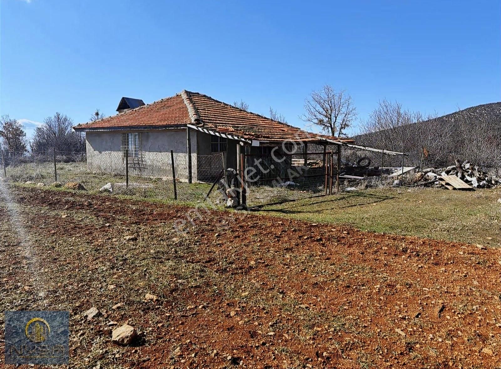 Nysa Emlak'tan Satılık 38 Dönüm Tarım Arazisi - Görsel 2