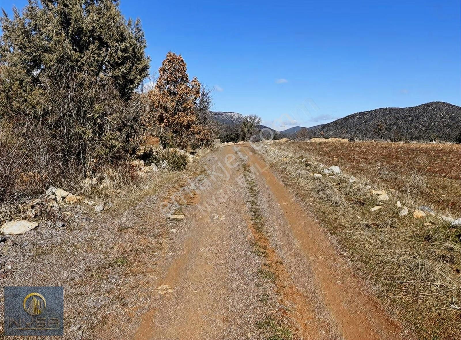 Nysa Emlak'tan Satılık 38 Dönüm Tarım Arazisi