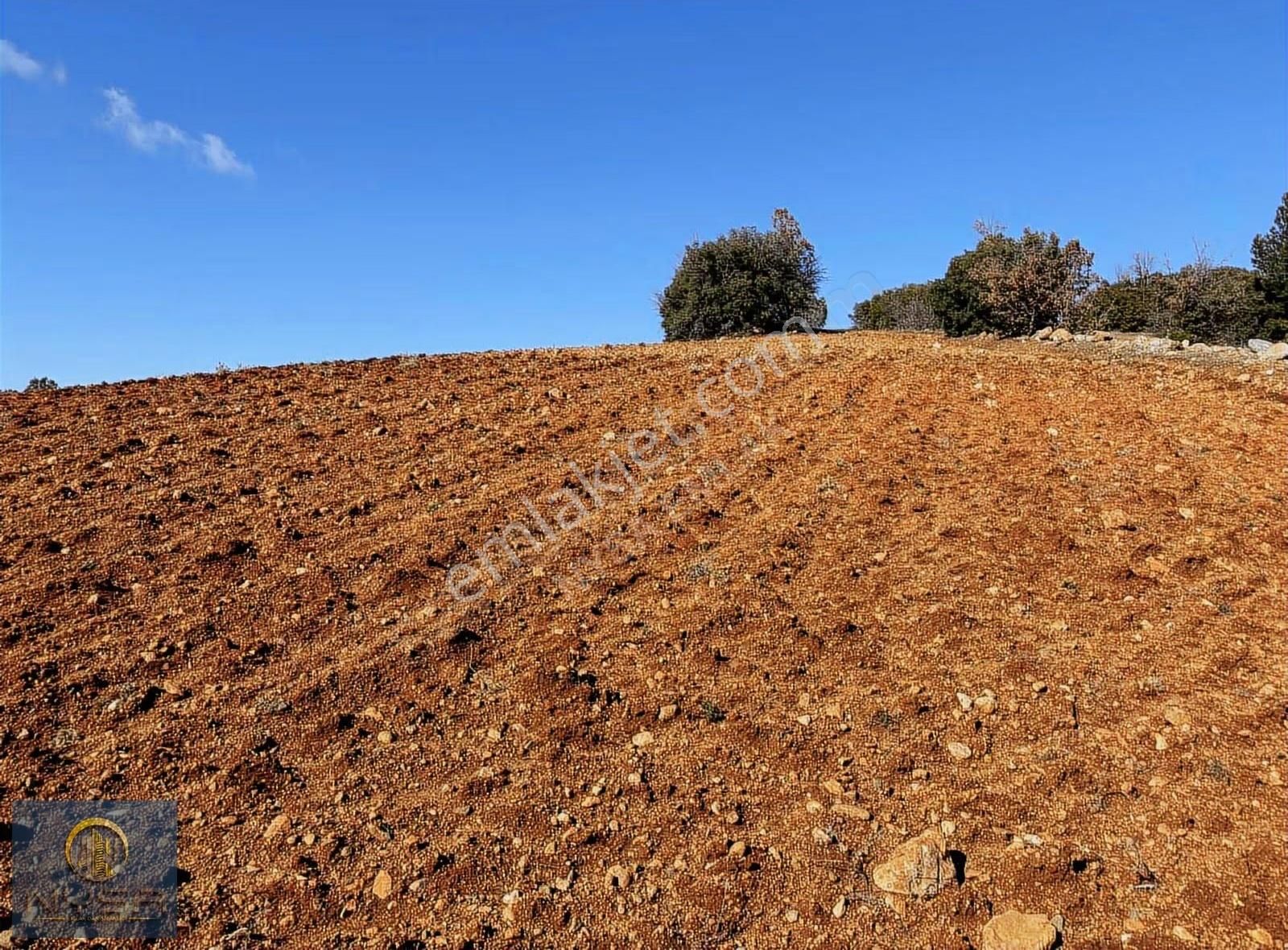 Nysa Emlak'tan Satılık 4.888 M2 Satılık Şahsi Tapu Arazi