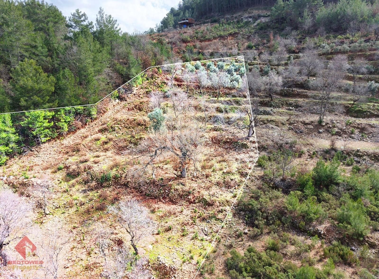 Alanya Türktaş'ta Doğa Manzaralı, 3.938 M² Satılık Tarla - Görsel 13