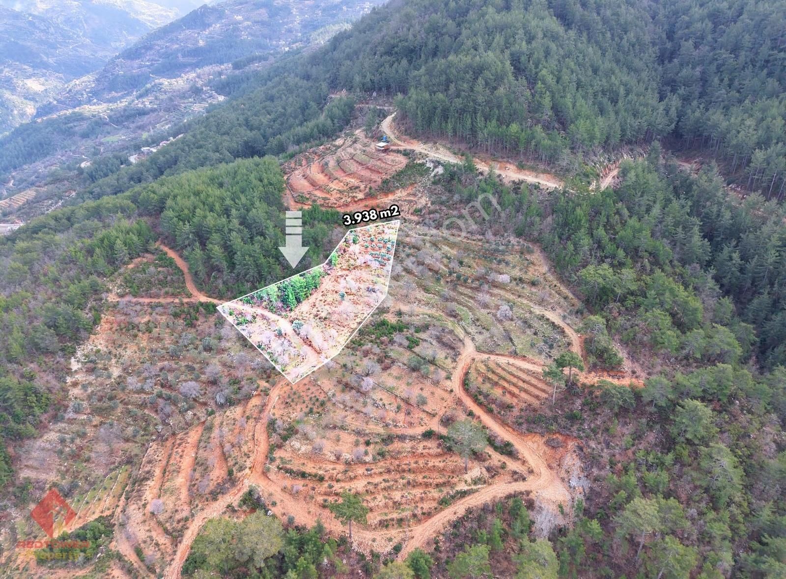 Alanya Türktaş'ta Doğa Manzaralı, 3.938 M² Satılık Tarla - Görsel 10