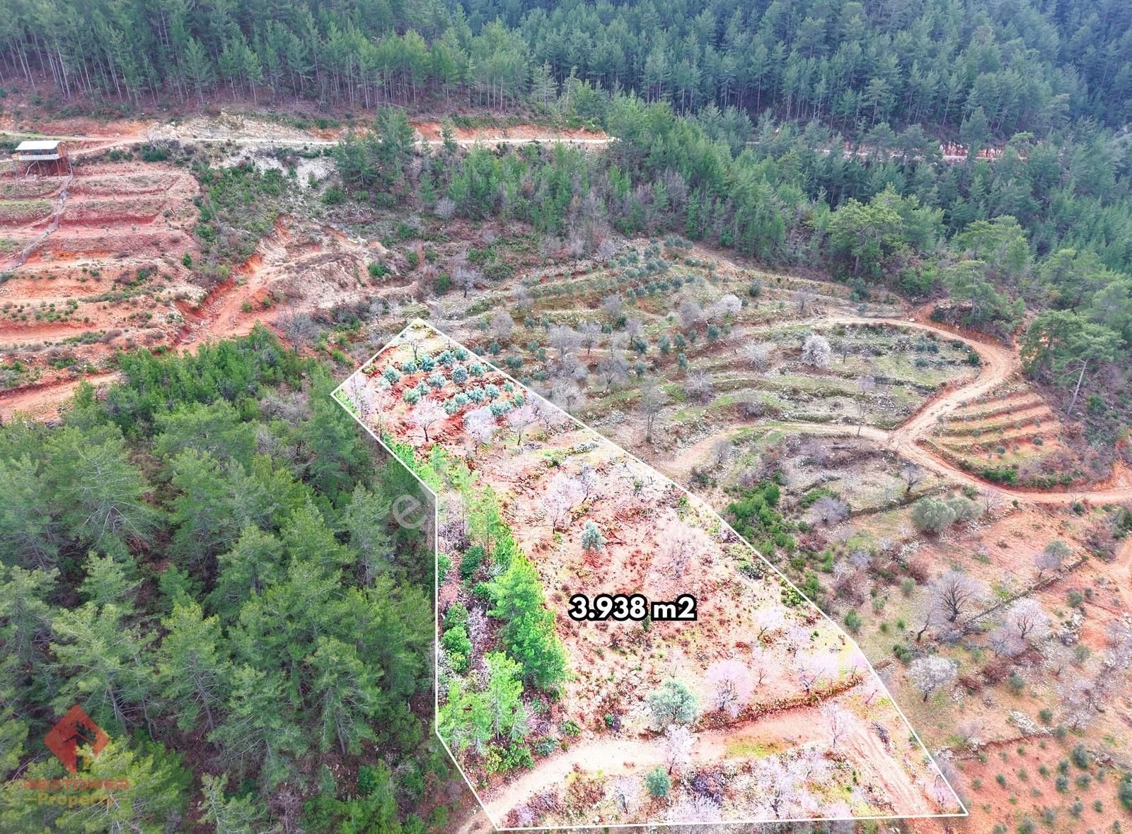Alanya Türktaş'ta Doğa Manzaralı, 3.938 M² Satılık Tarla - Görsel 7