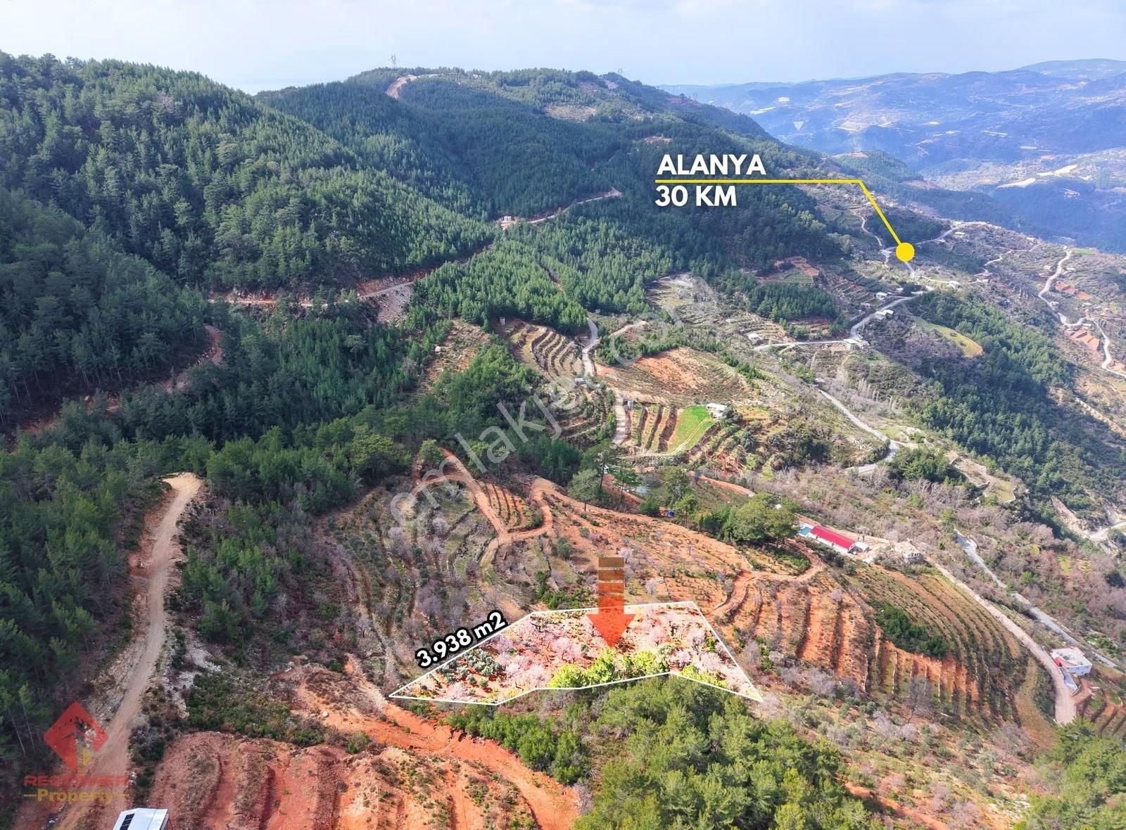 Alanya Türktaş'ta Doğa Manzaralı, 3.938 M² Satılık Tarla - Görsel 3