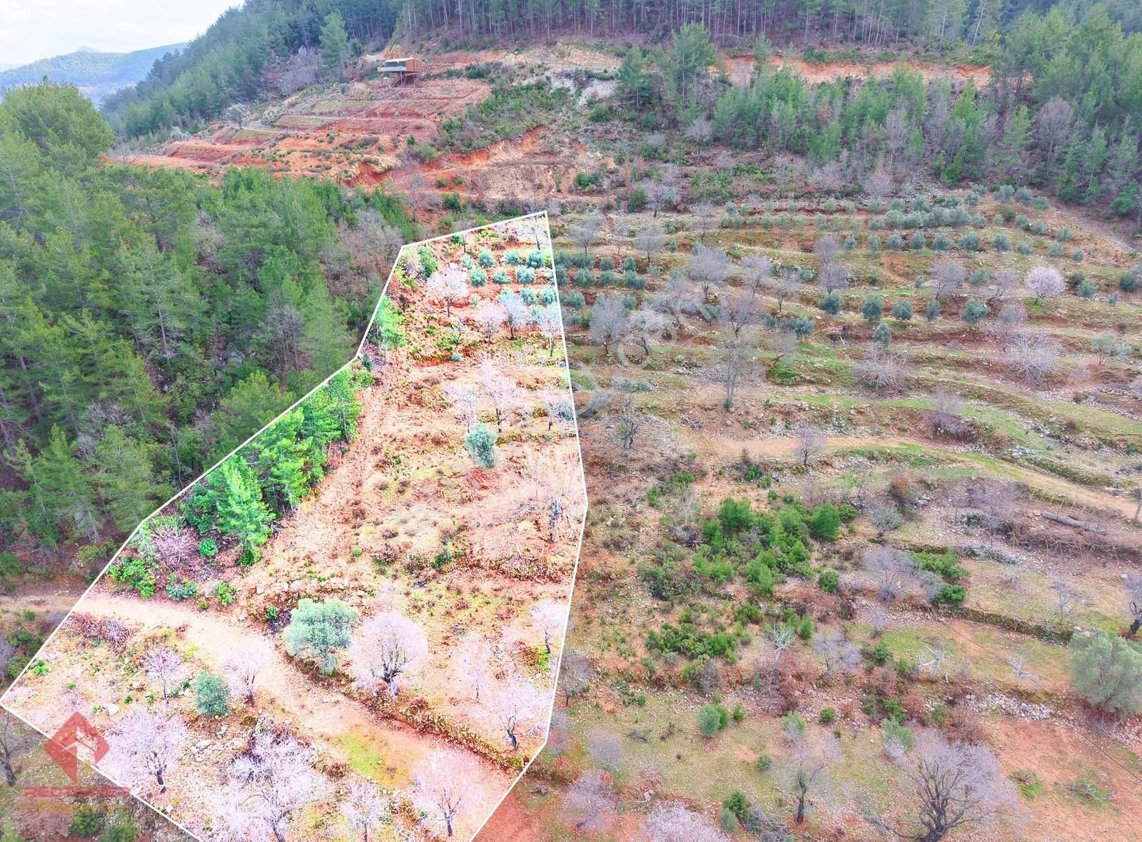 Alanya Türktaş'ta Doğa Manzaralı, 3.938 M² Satılık Tarla - Görsel 16