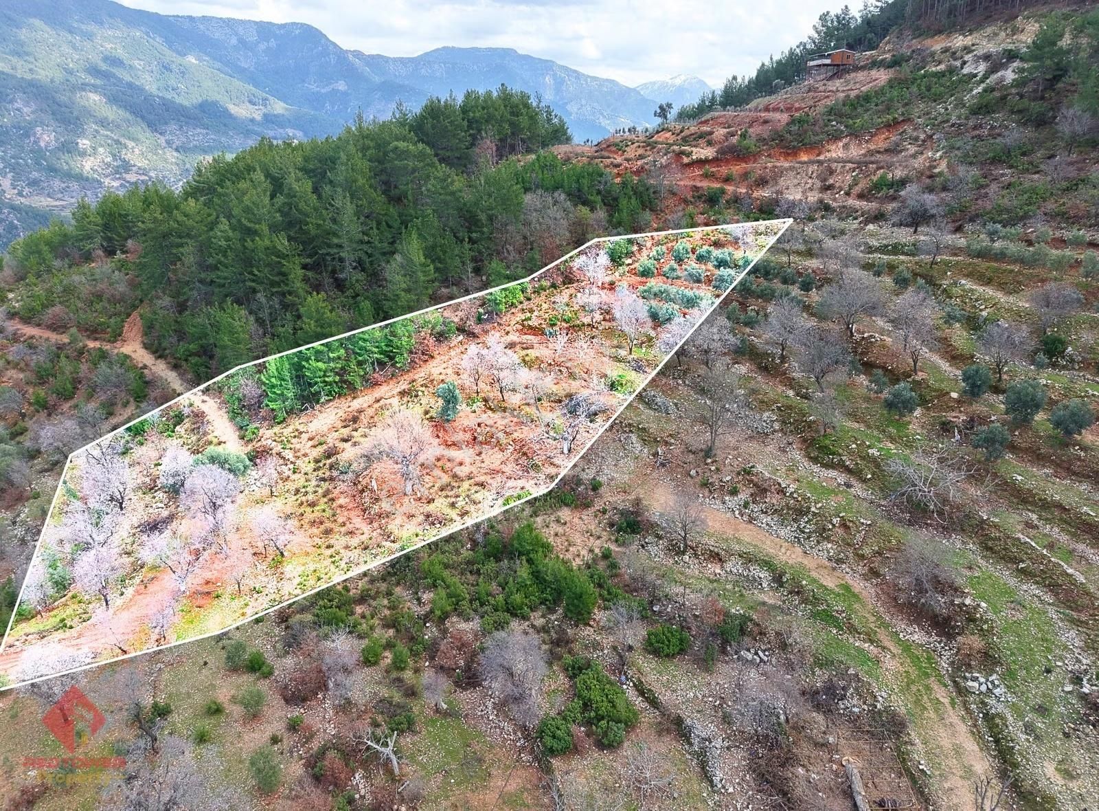 Alanya Türktaş'ta Doğa Manzaralı, 3.938 M² Satılık Tarla - Görsel 6