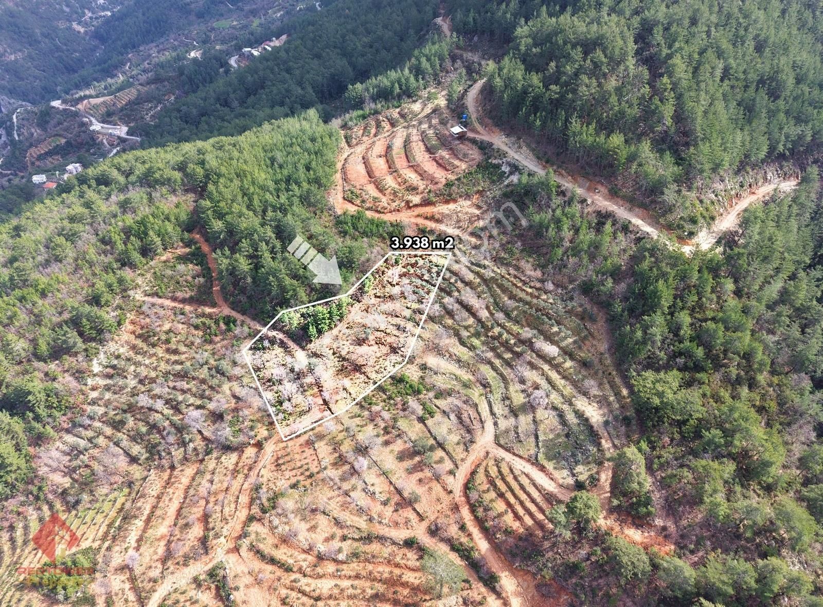 Alanya Türktaş'ta Doğa Manzaralı, 3.938 M² Satılık Tarla - Görsel 2