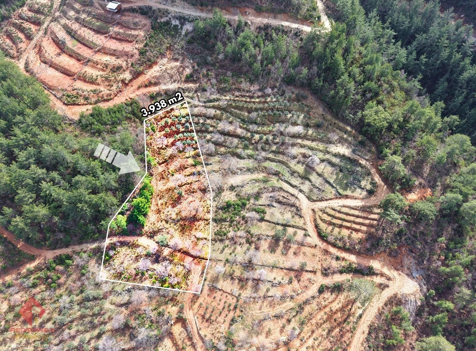 Alanya Türktaş'ta Doğa Manzaralı, 3.938 M² Satılık Tarla - Görsel 8