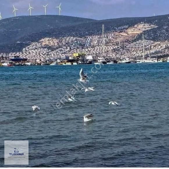 Didim Efeler De 2+1 Ayrı Mutfak Lüks Daire - Görsel 3