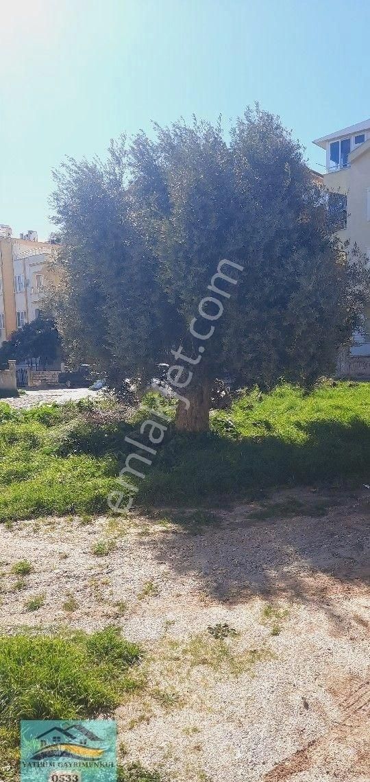 Didim Efeler Mahalesi 4+1 Ayrı Mutfak Dubleks - Görsel 2