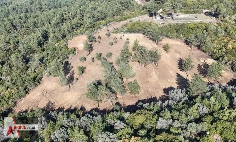 Menderes Görece'de Manzaralı Tarla