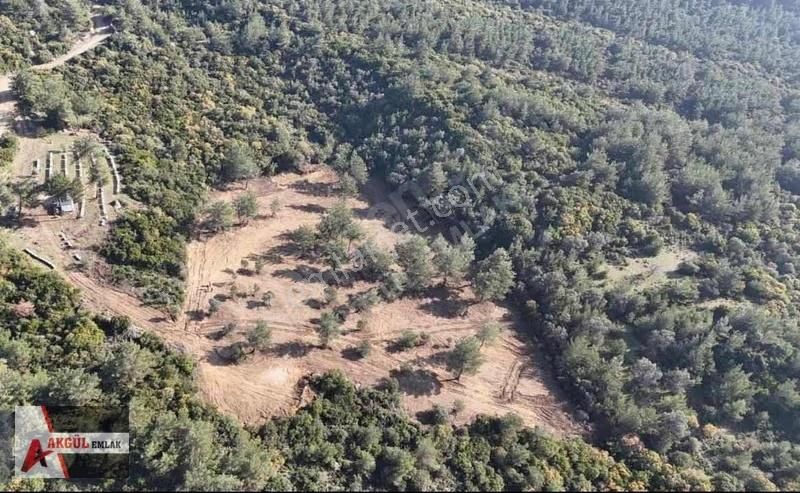 Menderes Görece'de Manzaralı Tarla - Görsel 2