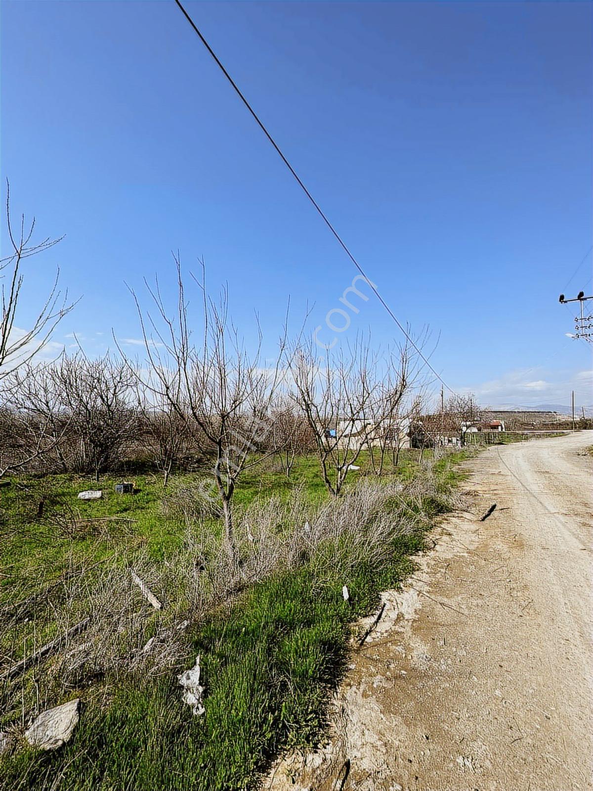 Uçandan Anayol Kenarı Mut - Mersin Anayol Kenarı - Görsel 8