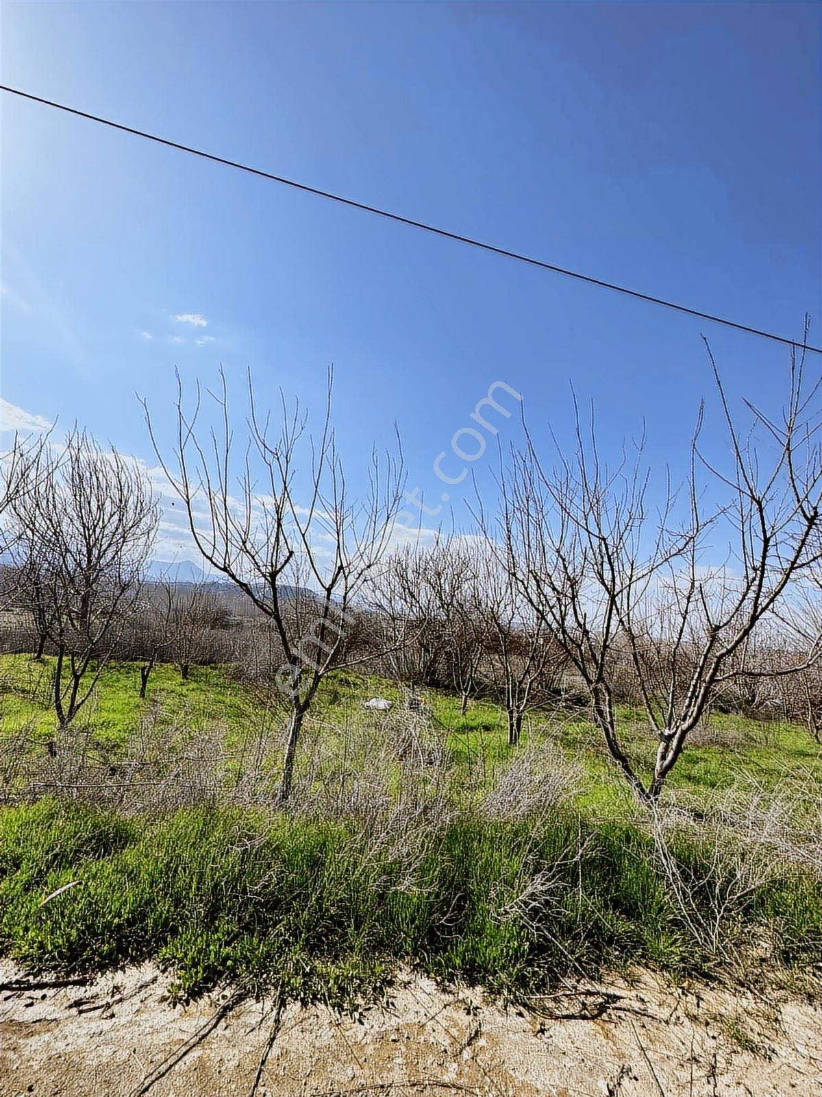 Uçandan Anayol Kenarı Mut - Mersin Anayol Kenarı - Görsel 7
