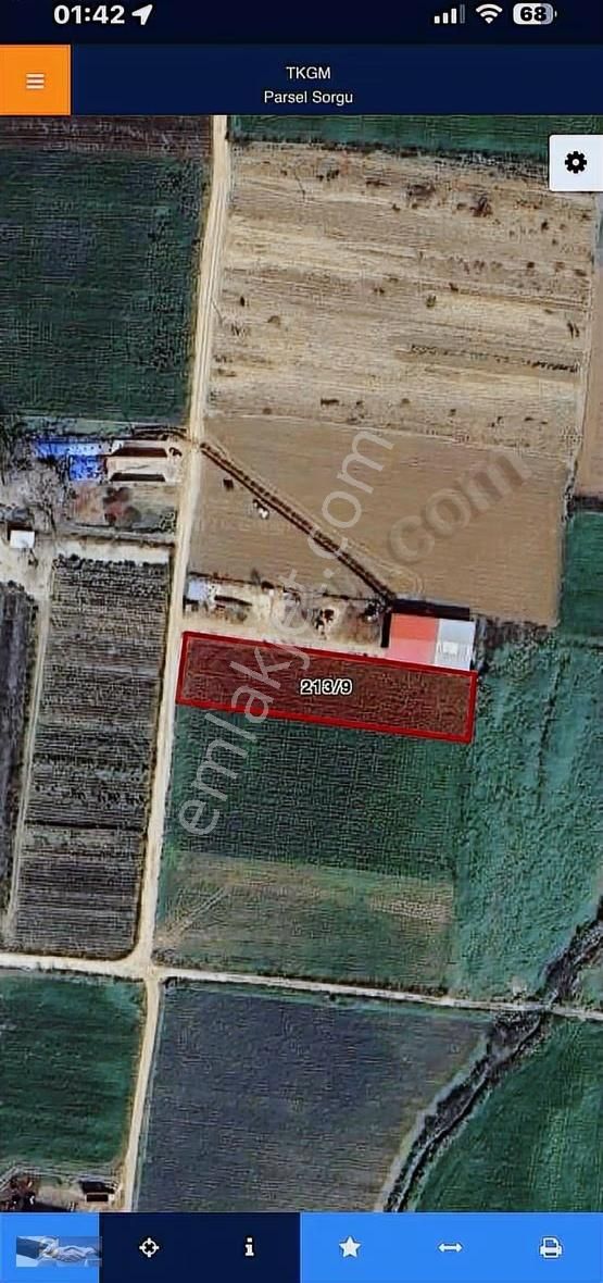 Çatal Armut Mevkii Müstakil Tapulu Yerimiz Satışa Çıkmıştır