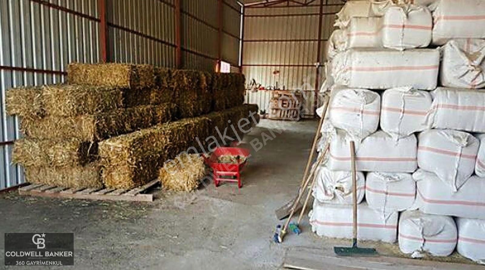 Güzelbahçe Yelki'de Satılık Tarla Ve Yapı Ruhsatlıbesi Çiftliği - Görsel 2