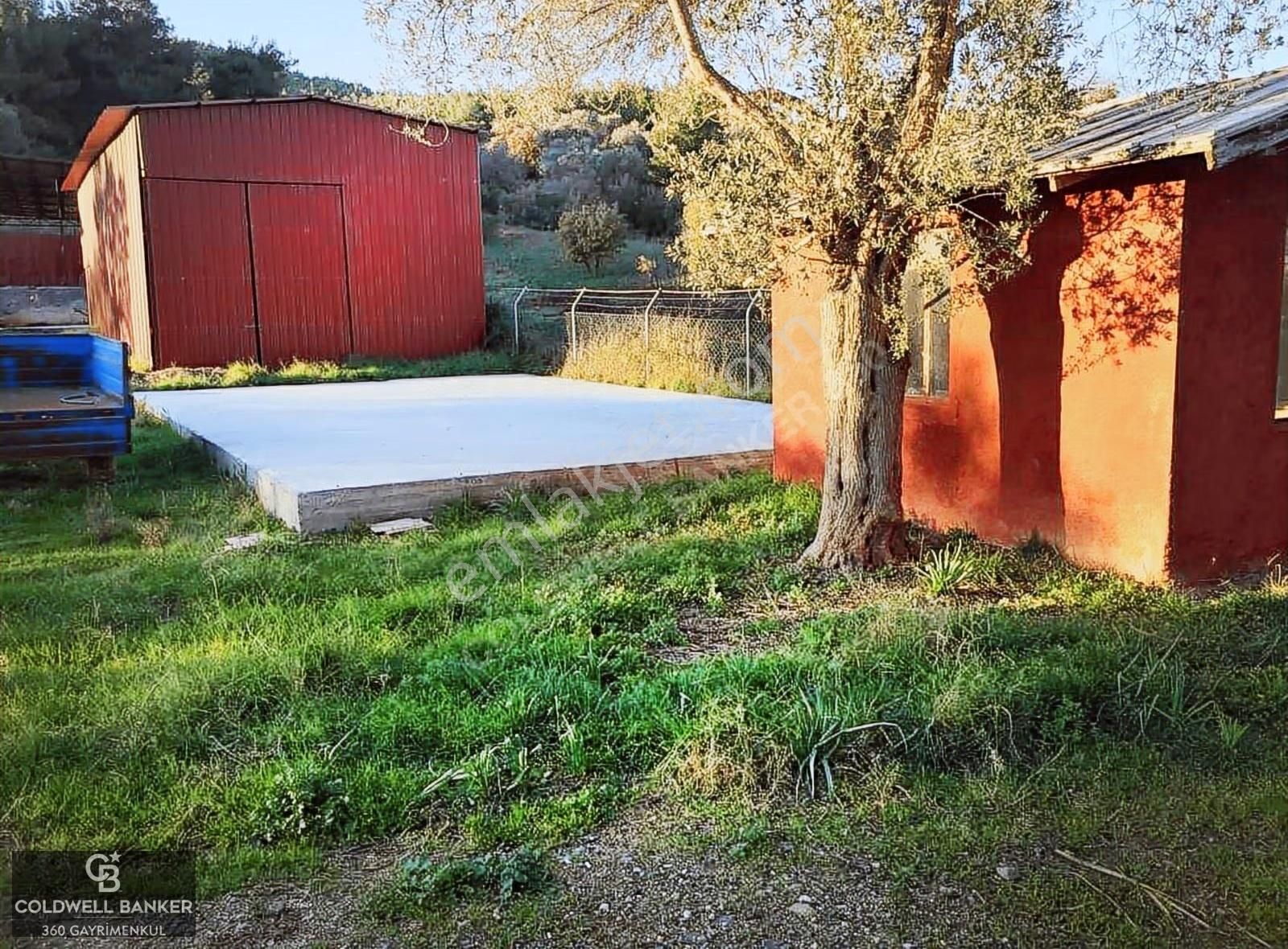 Güzelbahçe Yelki'de Satılık Tarla Ve Yapı Ruhsatlıbesi Çiftliği - Görsel 8