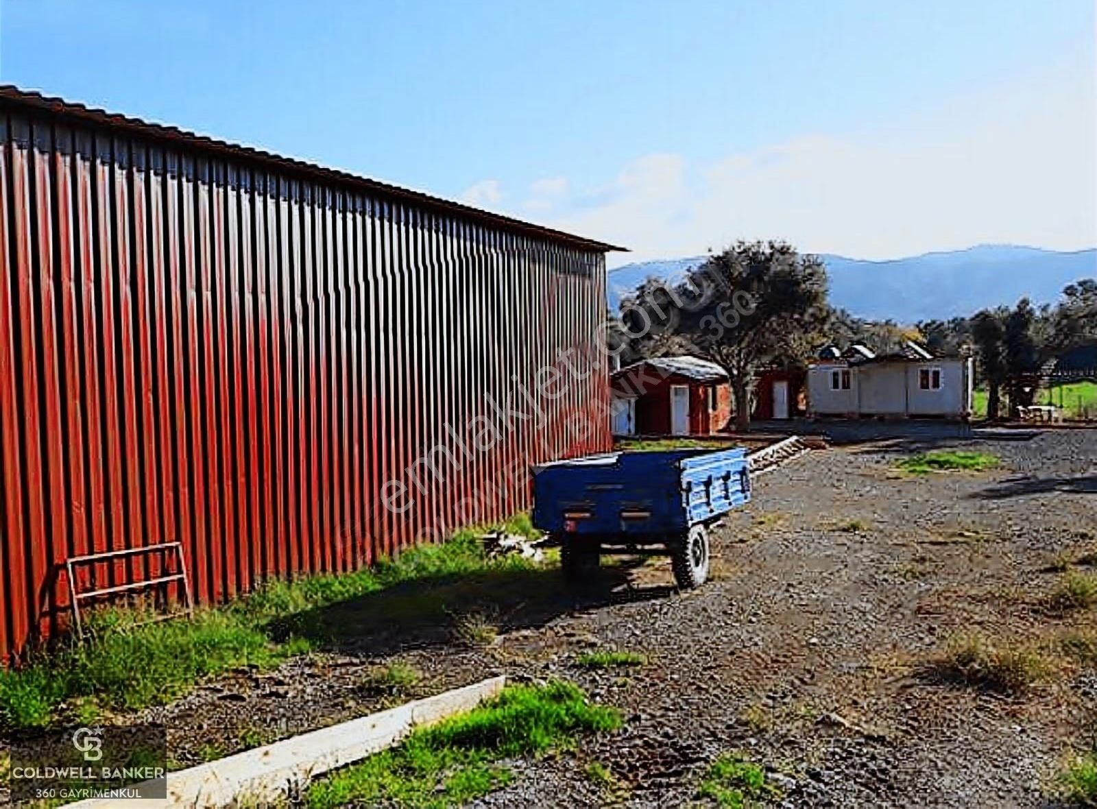 Güzelbahçe Yelki'de Satılık Tarla Ve Yapı Ruhsatlıbesi Çiftliği - Görsel 6