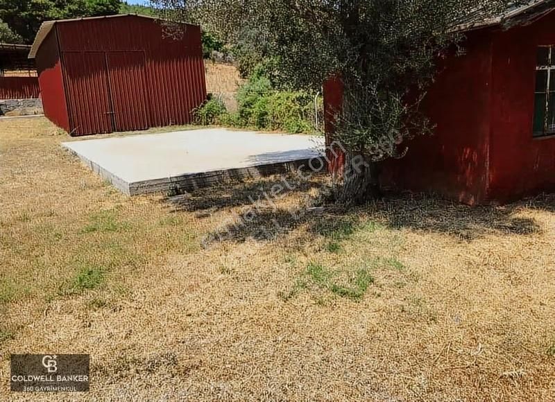 Güzelbahçe Yelki'de Satılık Tarla Ve Yapı Ruhsatlıbesi Çiftliği - Görsel 5