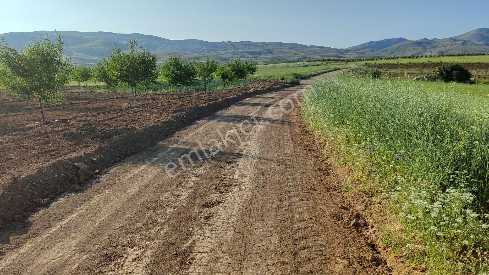 Korkuteli Sülekler De Satılık 2.277m2 Tarla Resmi Yolu Var - Görsel 13