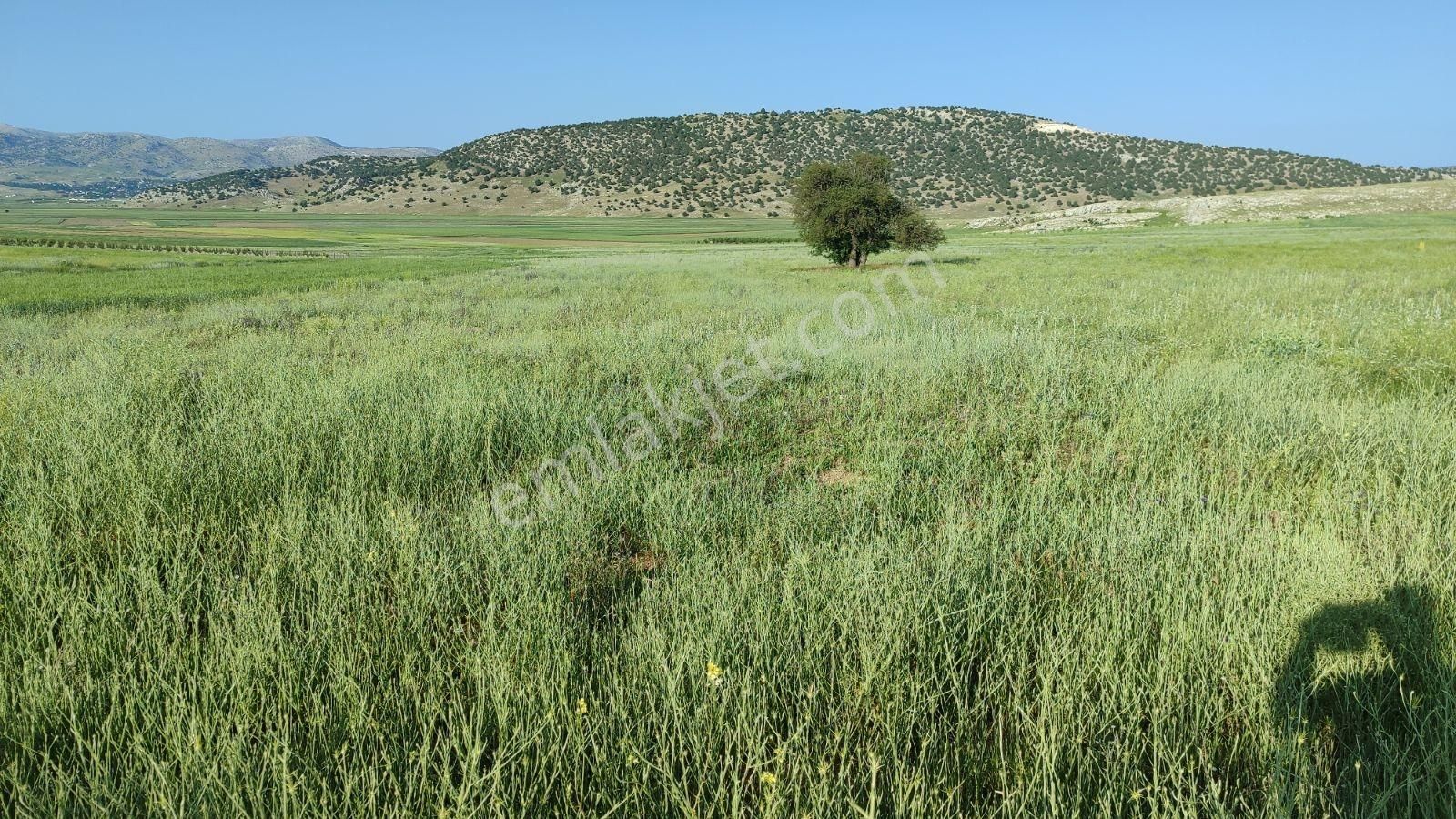 Korkuteli Sülekler De Satılık 2.277m2 Tarla Resmi Yolu Var - Görsel 10