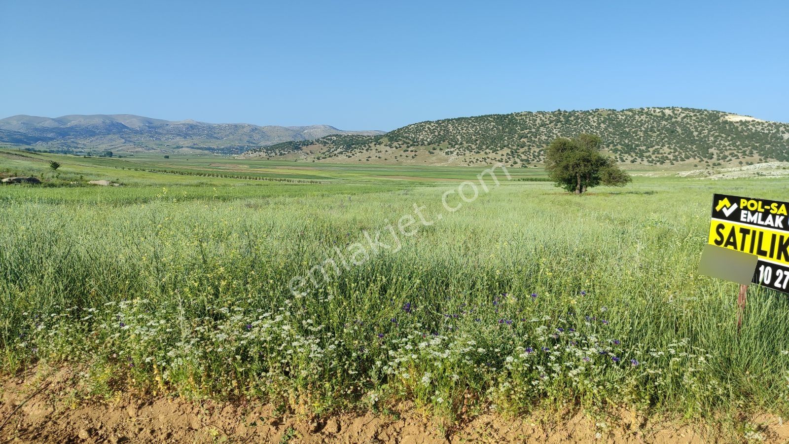 Korkuteli Sülekler De Satılık 2.277m2 Tarla Resmi Yolu Var - Görsel 14