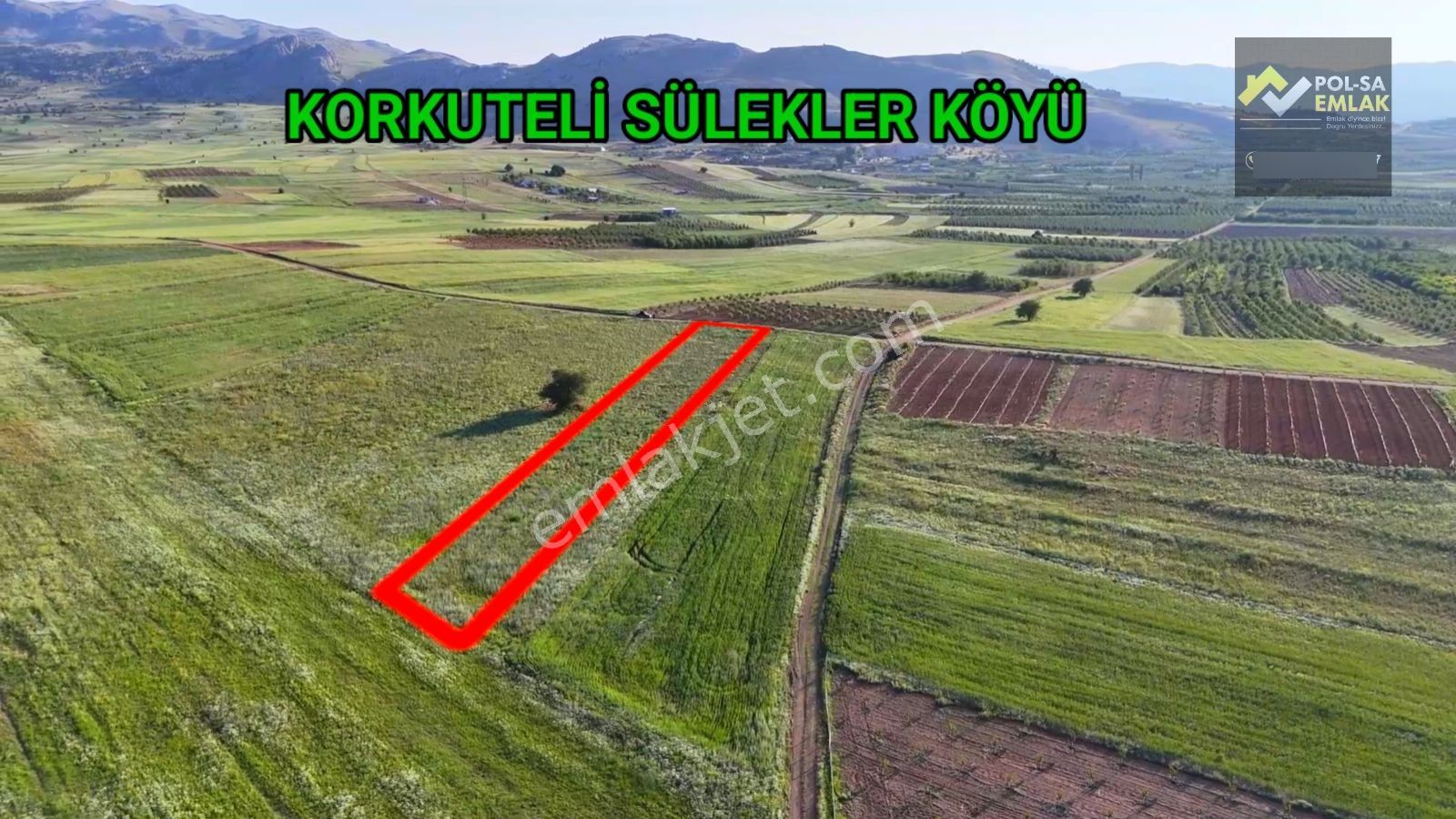 Korkuteli Sülekler De Satılık 2.277m2 Tarla Resmi Yolu Var - Görsel 6