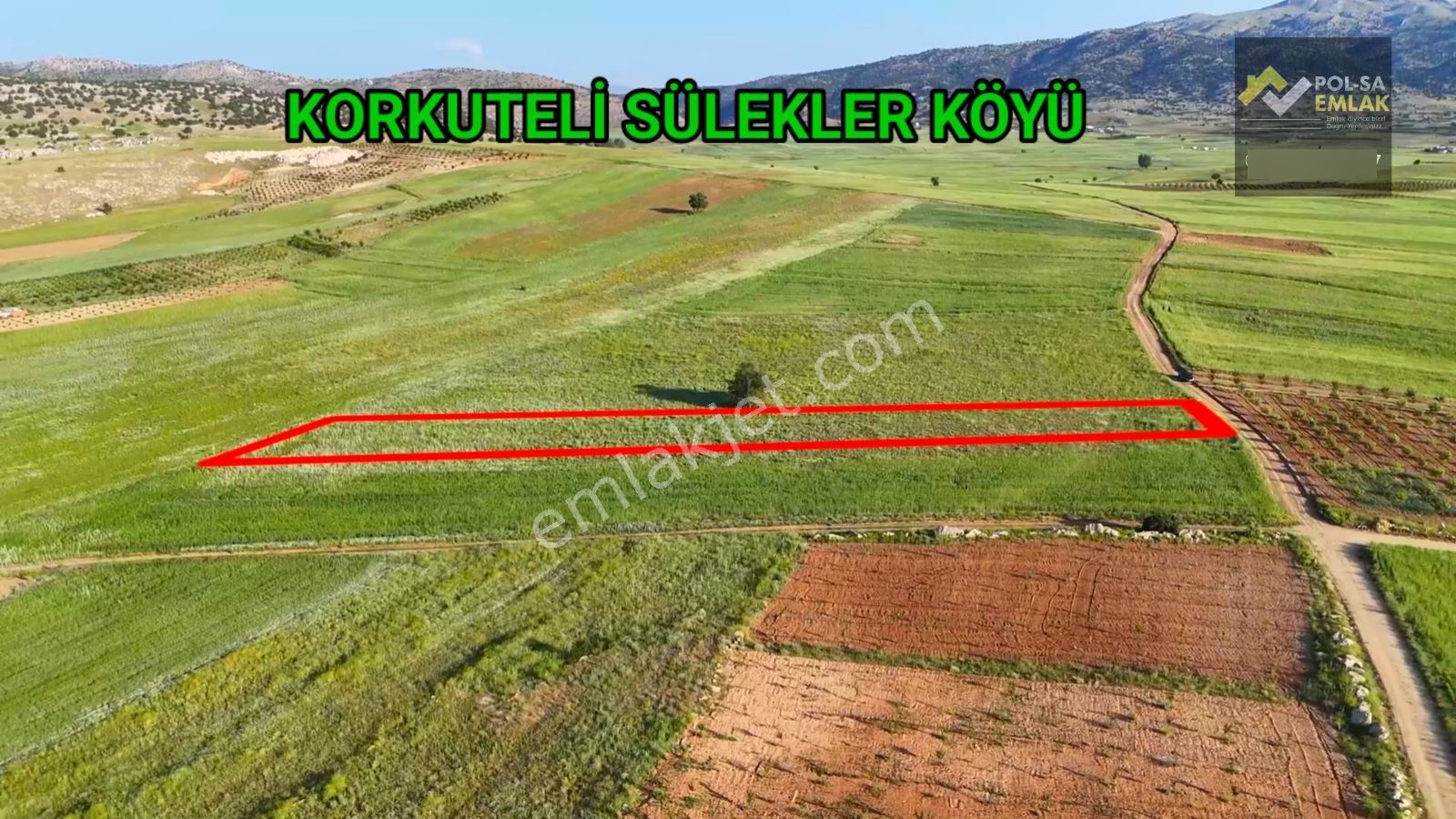 Korkuteli Sülekler De Satılık 2.277m2 Tarla Resmi Yolu Var - Görsel 8