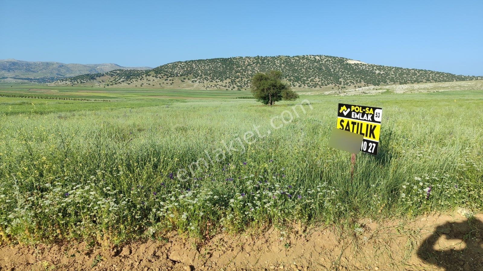 Korkuteli Sülekler De Satılık 2.277m2 Tarla Resmi Yolu Var - Görsel 15