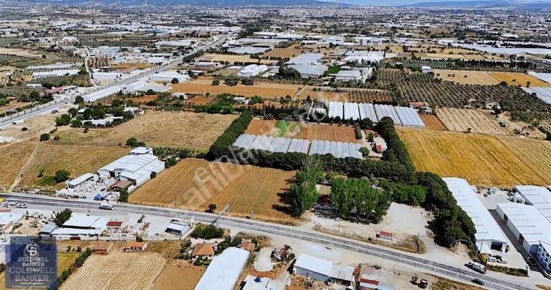 Coldwell Banker Poyraz'dan Avantajlı İşletme - Görsel 13