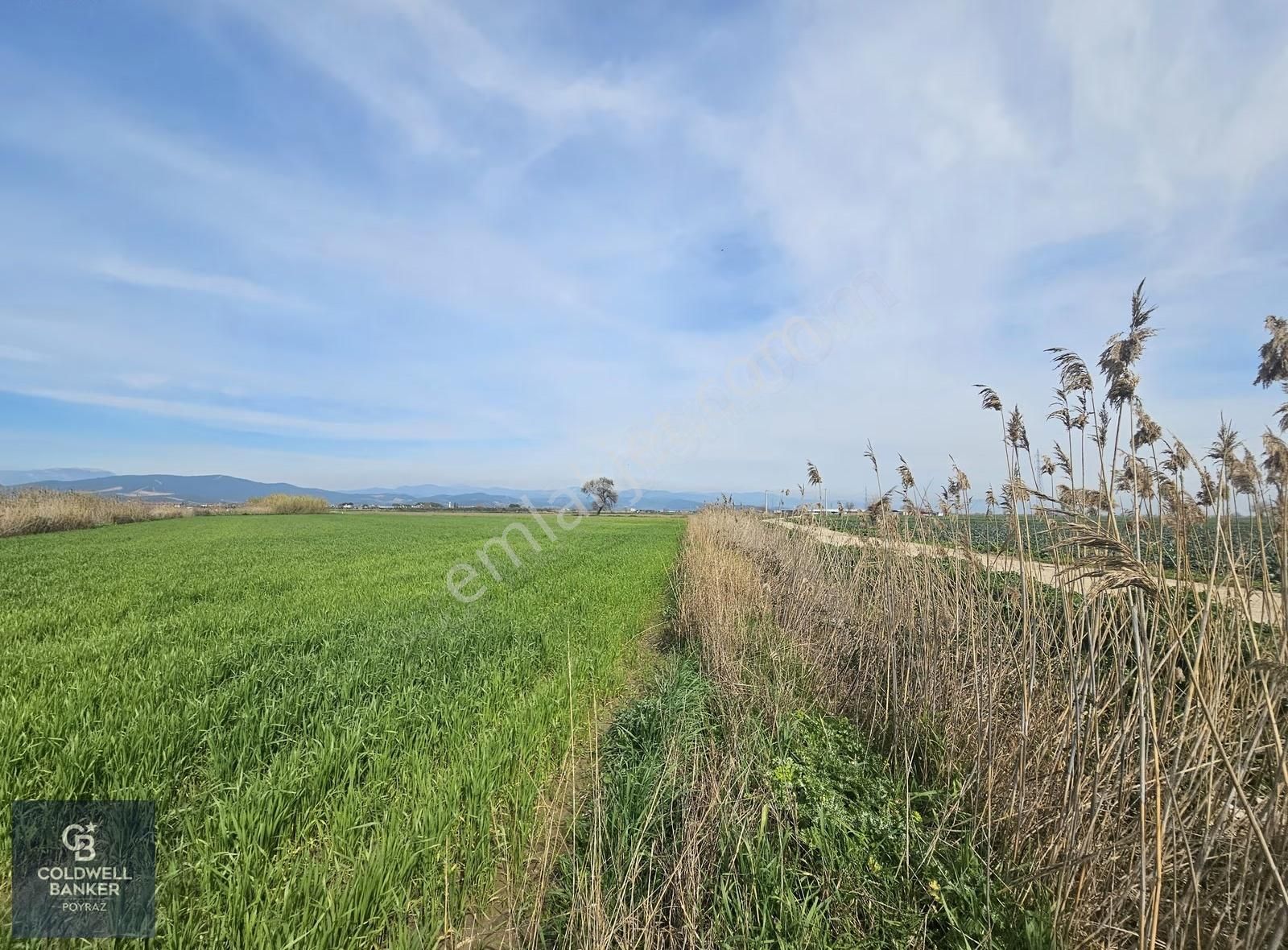 Torbalı Çaybaşı Eğerci Mah. Satılık 5.500 M2 Tarla - Görsel 6