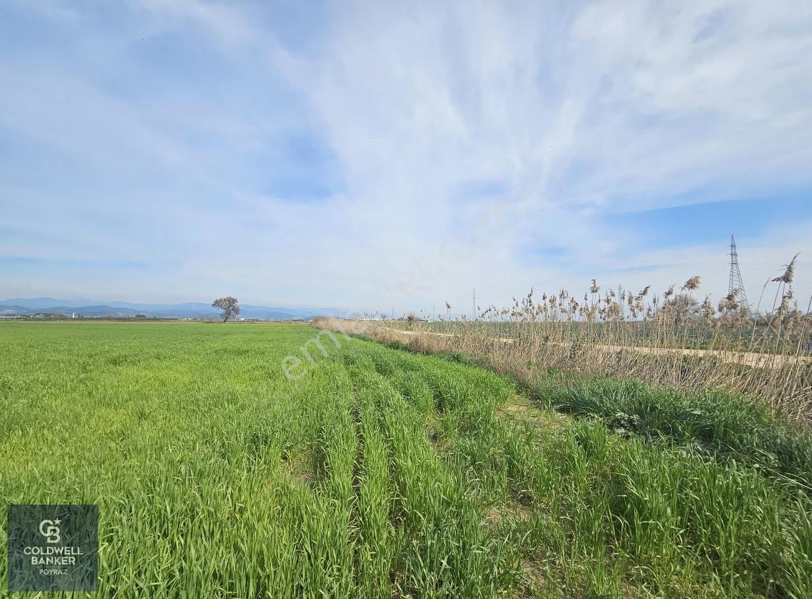 Torbalı Çaybaşı Eğerci Mah. Satılık 5.500 M2 Tarla - Görsel 2