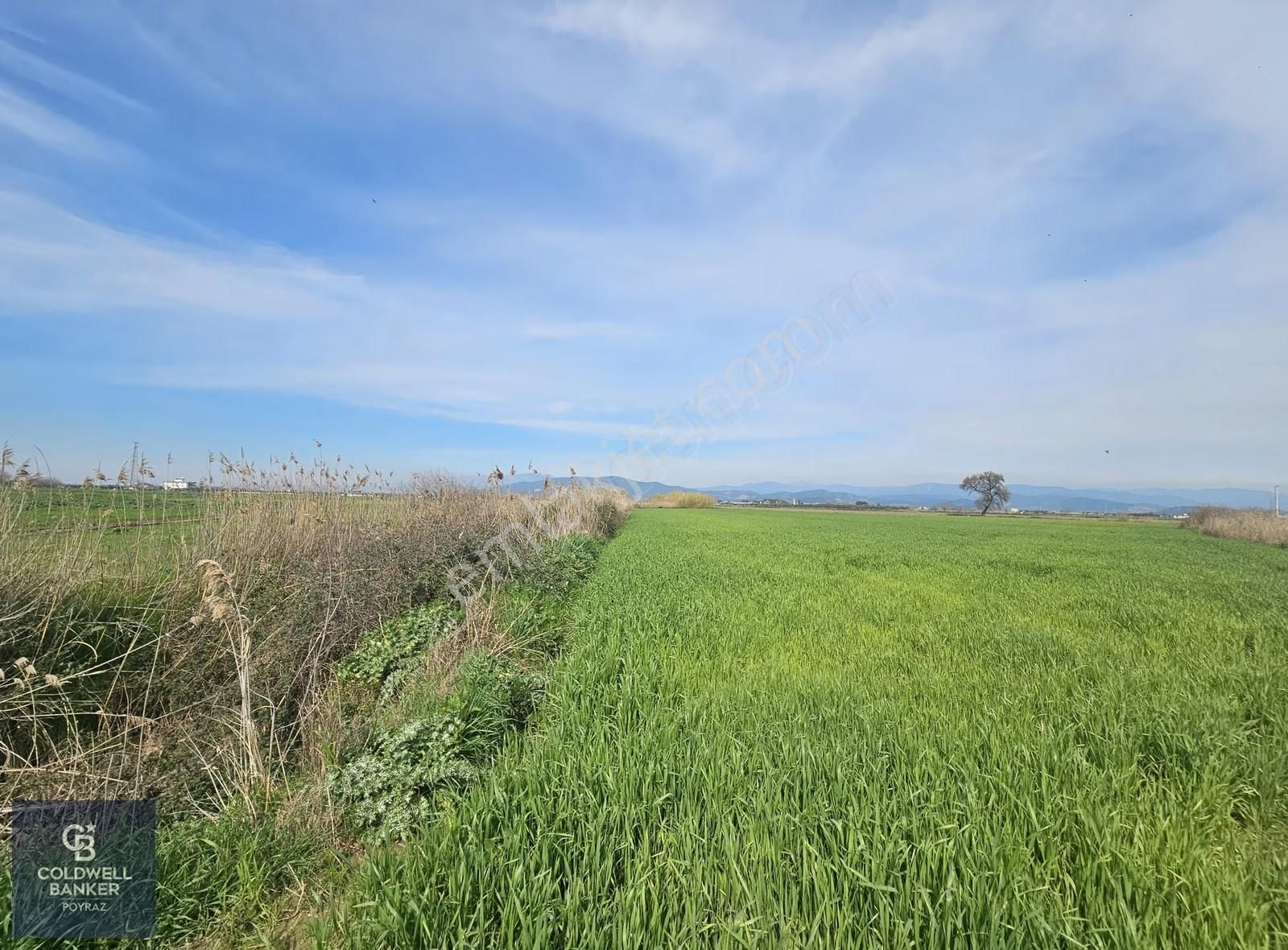 Torbalı Çaybaşı Eğerci Mah. Satılık 5.500 M2 Tarla - Görsel 3