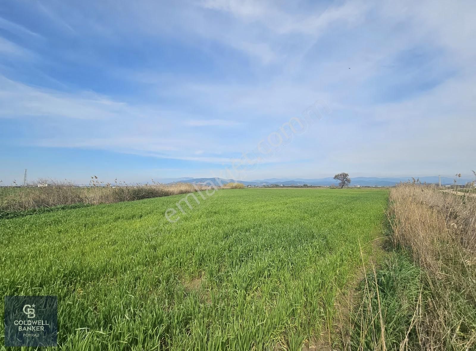 Torbalı Çaybaşı Eğerci Mah. Satılık 5.500 M2 Tarla