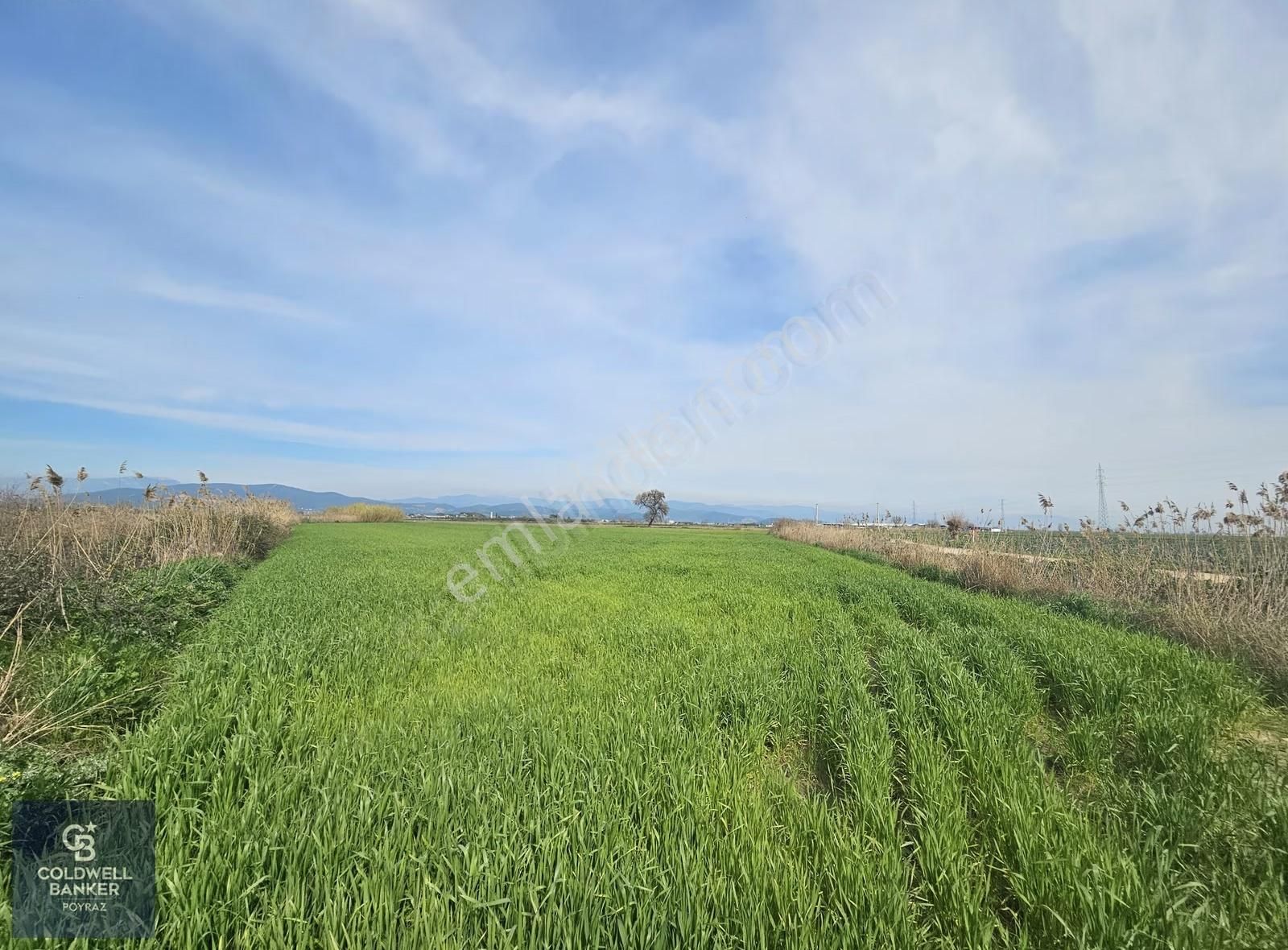 Torbalı Çaybaşı Eğerci Mah. Satılık 5.500 M2 Tarla - Görsel 5