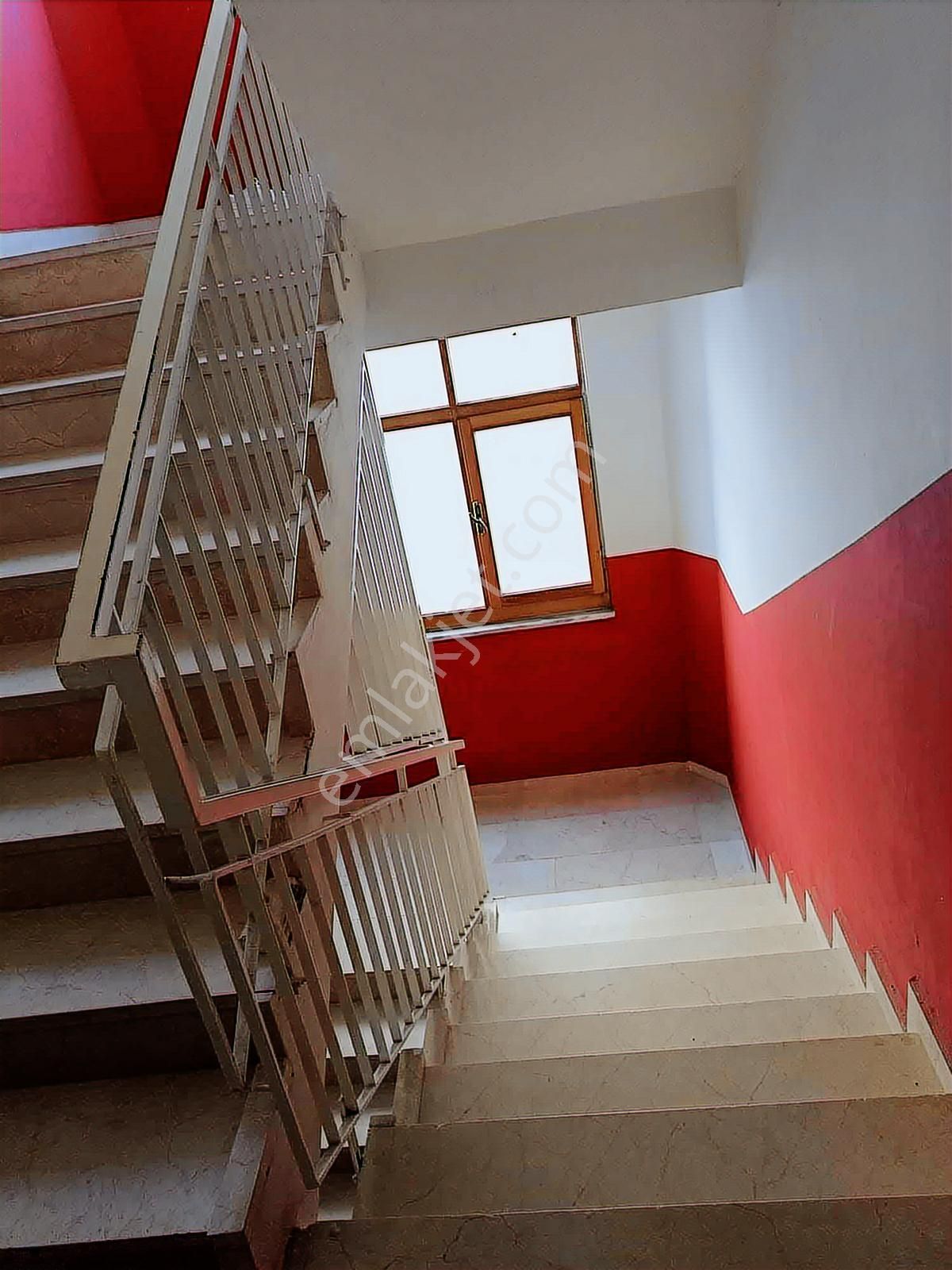 Genış Aıleler Tam Sıze Göre - Görsel 22