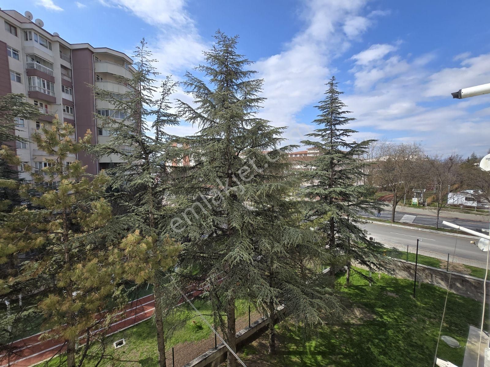 Yenibatı Mah. Ara Kat Asansörlü İçi Boş Satılık 3+1 Site Dairesi - Görsel 5