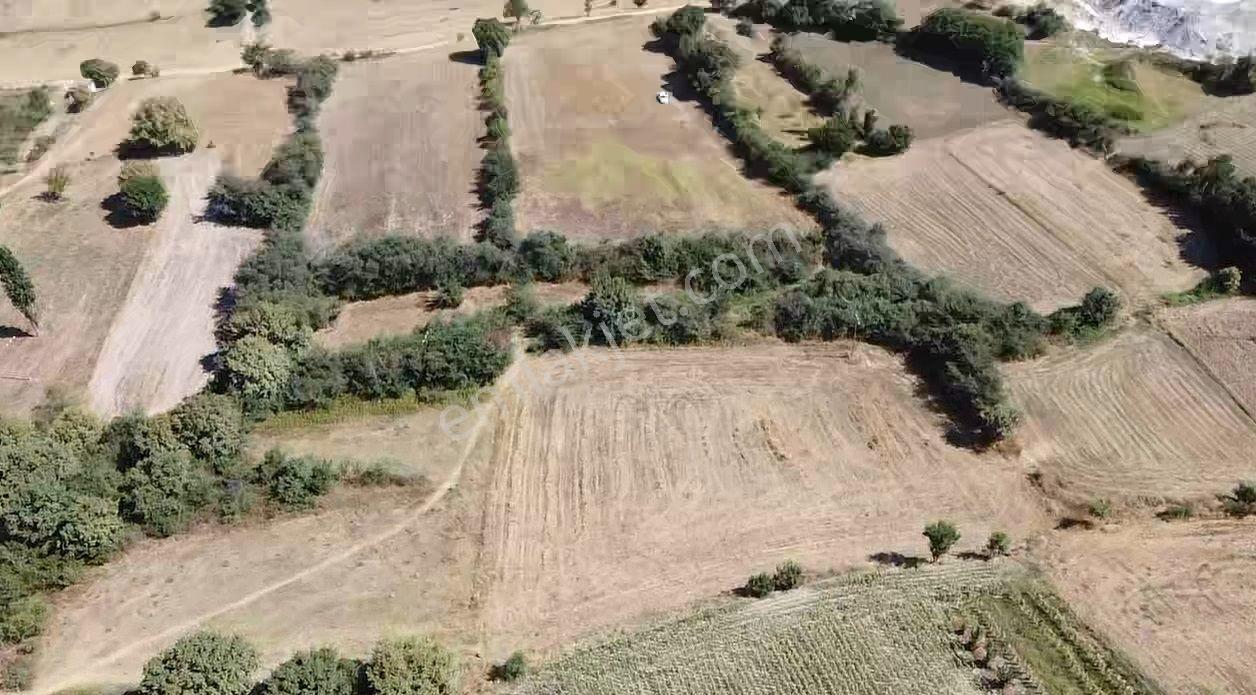 Edirne Kırcasalih Belde 888 M2 Konut İmarlı Arsa Elektrik Yol Su - Görsel 31