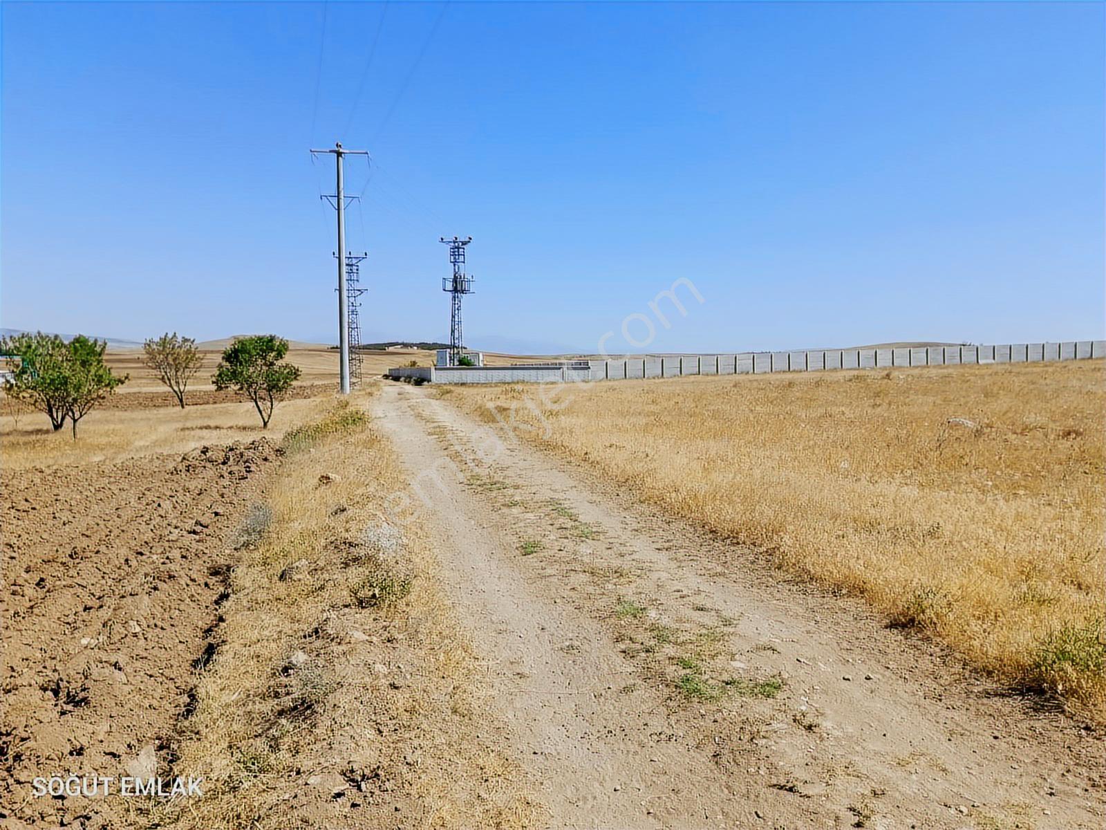 Söğüt Emlak'tan Şah Ahşap Arkası Satılık Sanayi İmarlı - Görsel 2