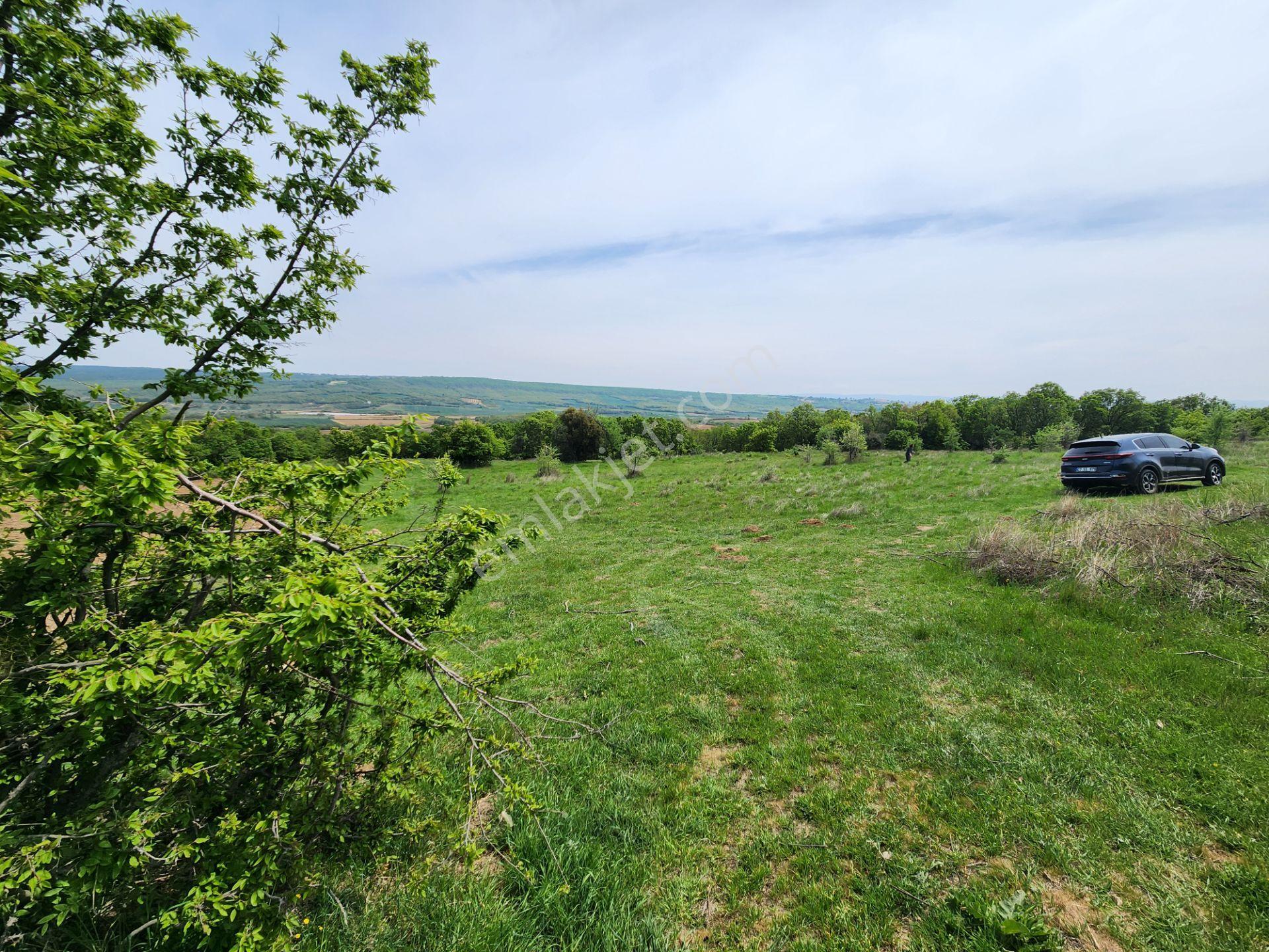 Edirne Keşan Koruklu 5713 M2 Deniz Manzaralı Yola Cephe Tarla - Görsel 3